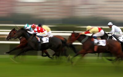 Minibus Transport From Gloucester To Cheltenham Races